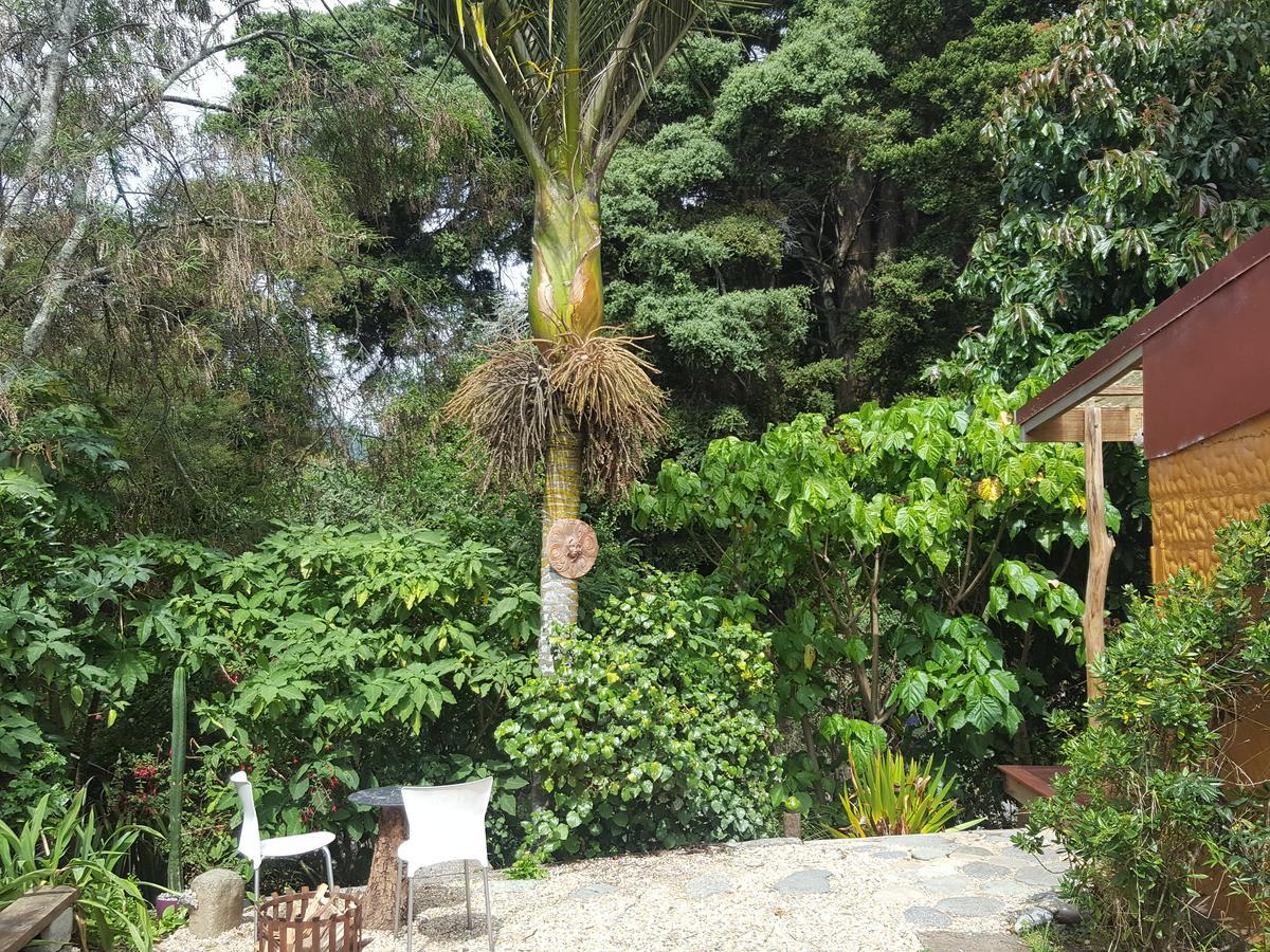 Chalet Karaka Takaka Dış mekan fotoğraf