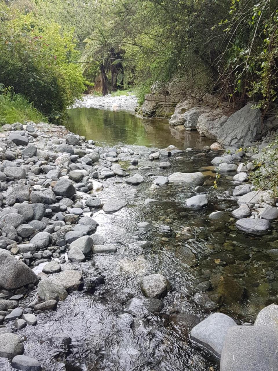 Chalet Karaka Takaka Dış mekan fotoğraf